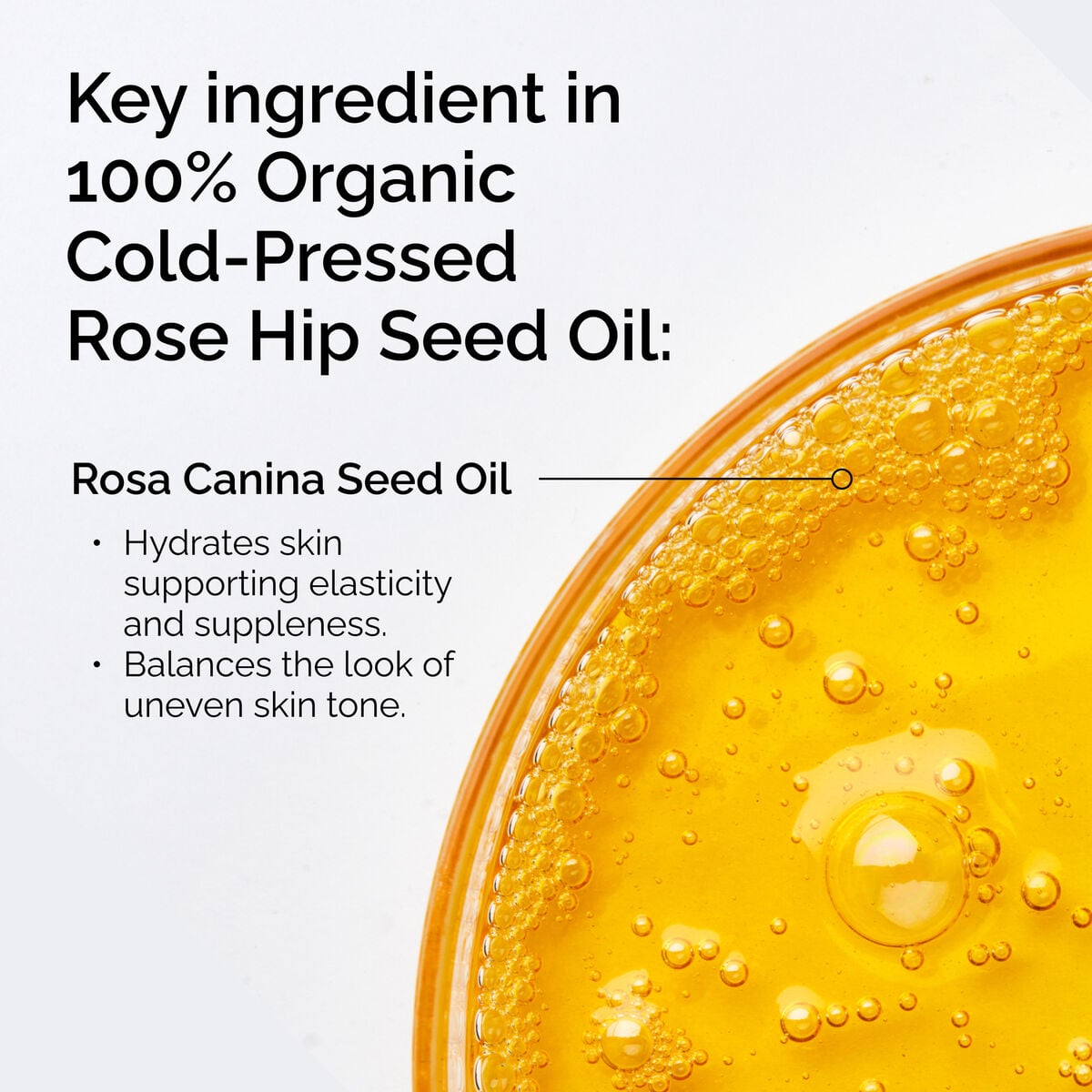 100-organic-cold-pressed-rose-hip-seed-oil-u9 FY25-D41247-ORD-Web-PDP-100-Rose-Hip-Oil-1x1-EN-2.jpg