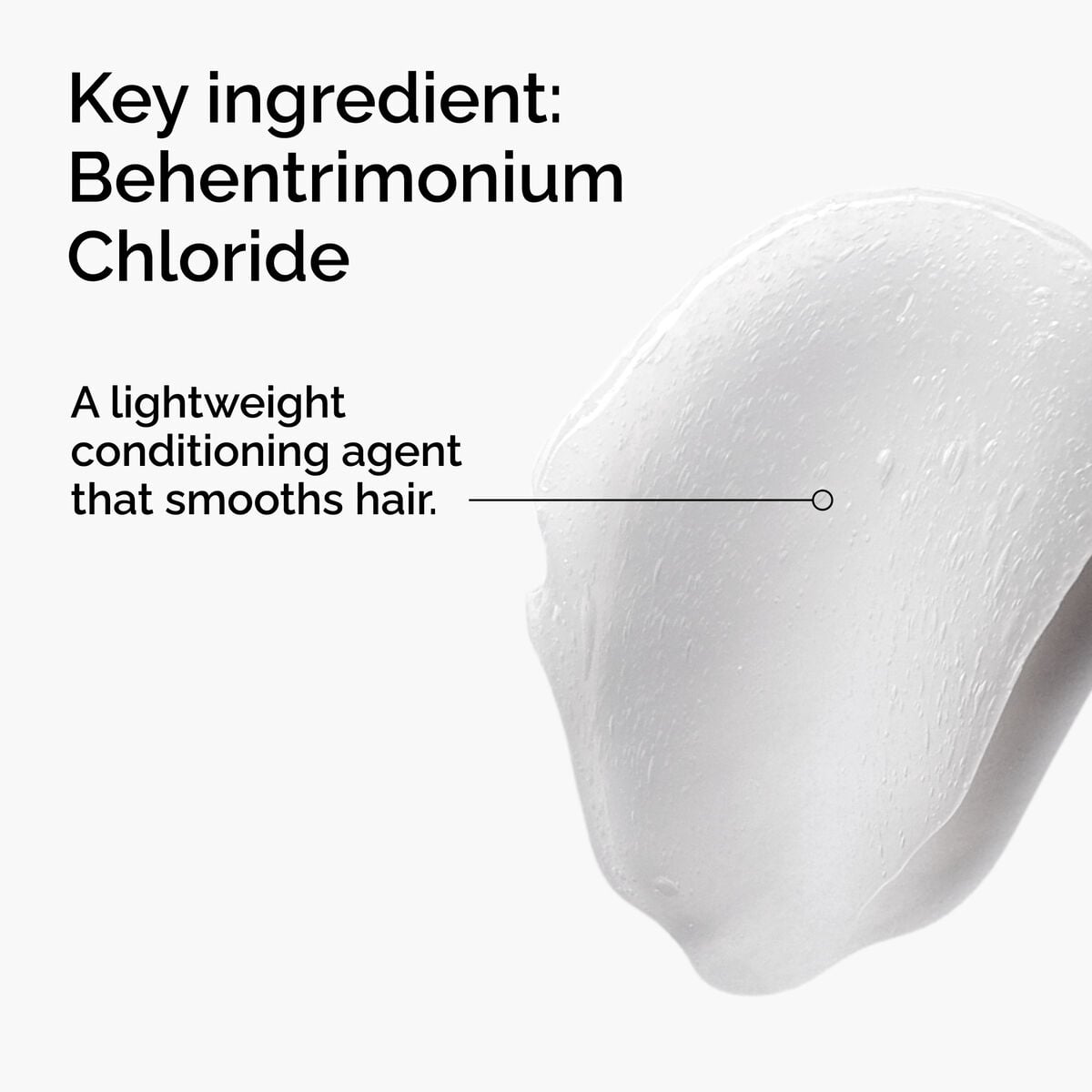 behentrimonium-chloride-2-conditioner-q4 FY25-D41247-ORD-Web-PDP-BTC-1x1-EN-2a.jpg