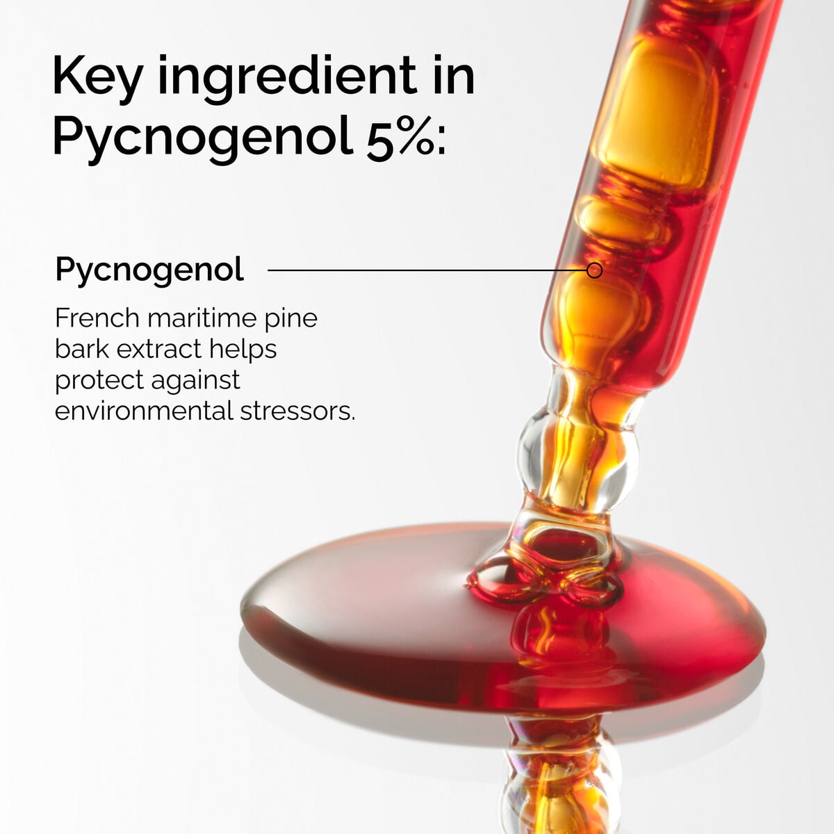 pycnogenol-5-t3 FY25-D41247-ORD-Web-PDP-Pyc-5pct-1x1-EN-2a.jpg