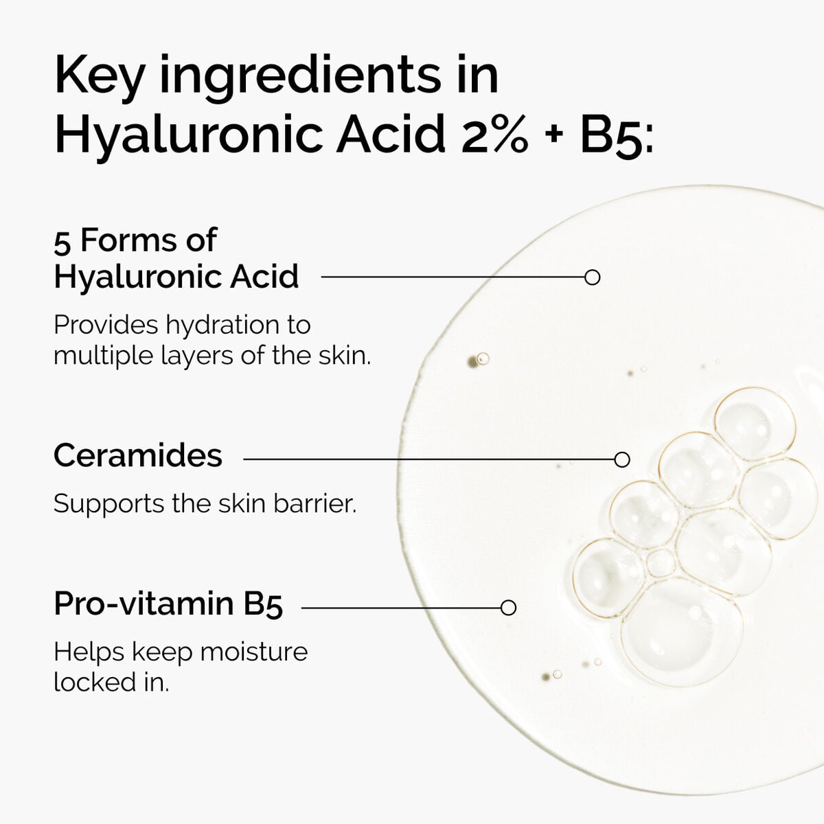 hyaluronic-acid-2-b5-with-ceramides-z9 ord-hyaluronic-acid-2pct-b5-hydrating-serum-ingredients-graphic.jpg