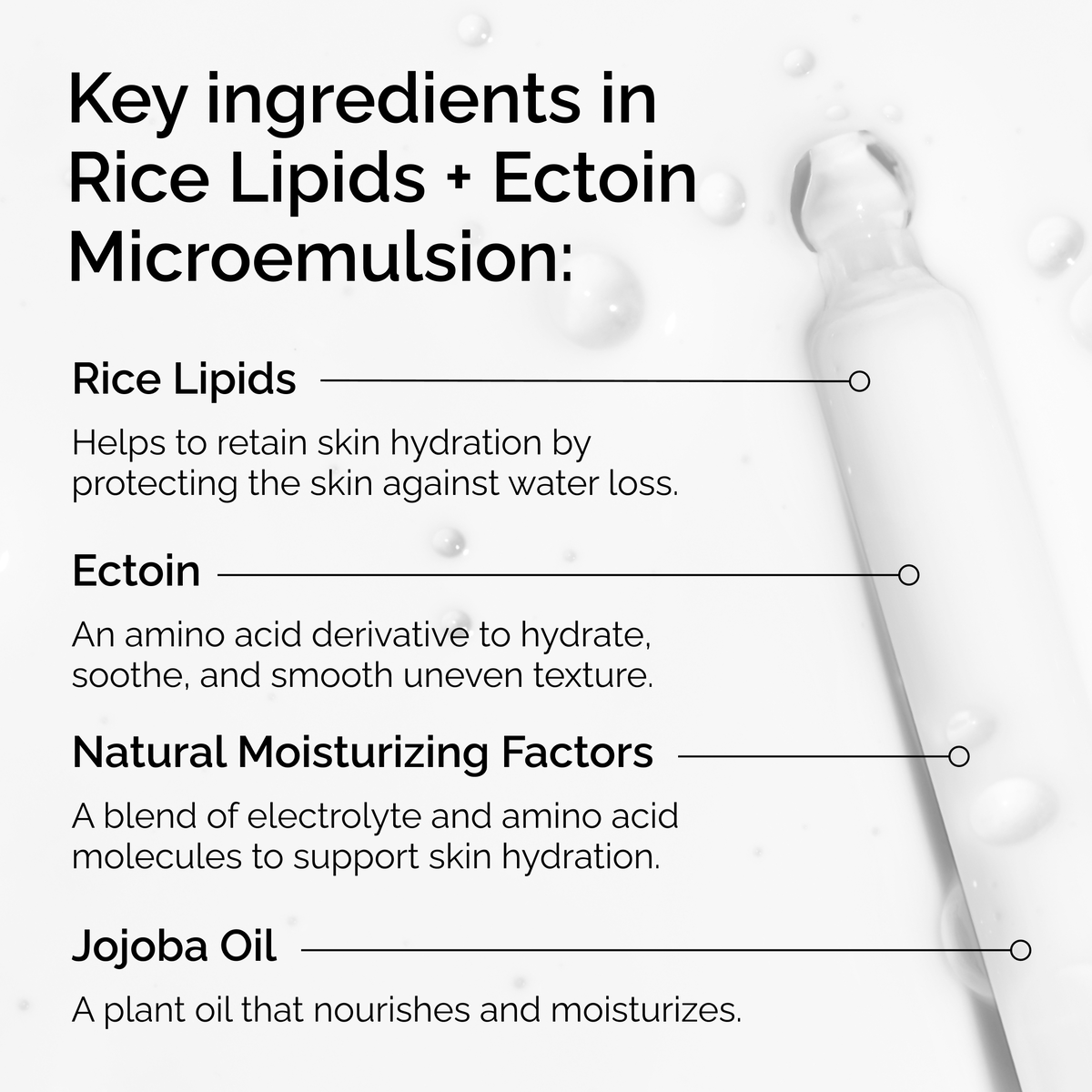 rice-lipids-ectoin-microemulsion-n1 ord-rice-lipids-ectoin-microemulsion-key-ingredients.png
