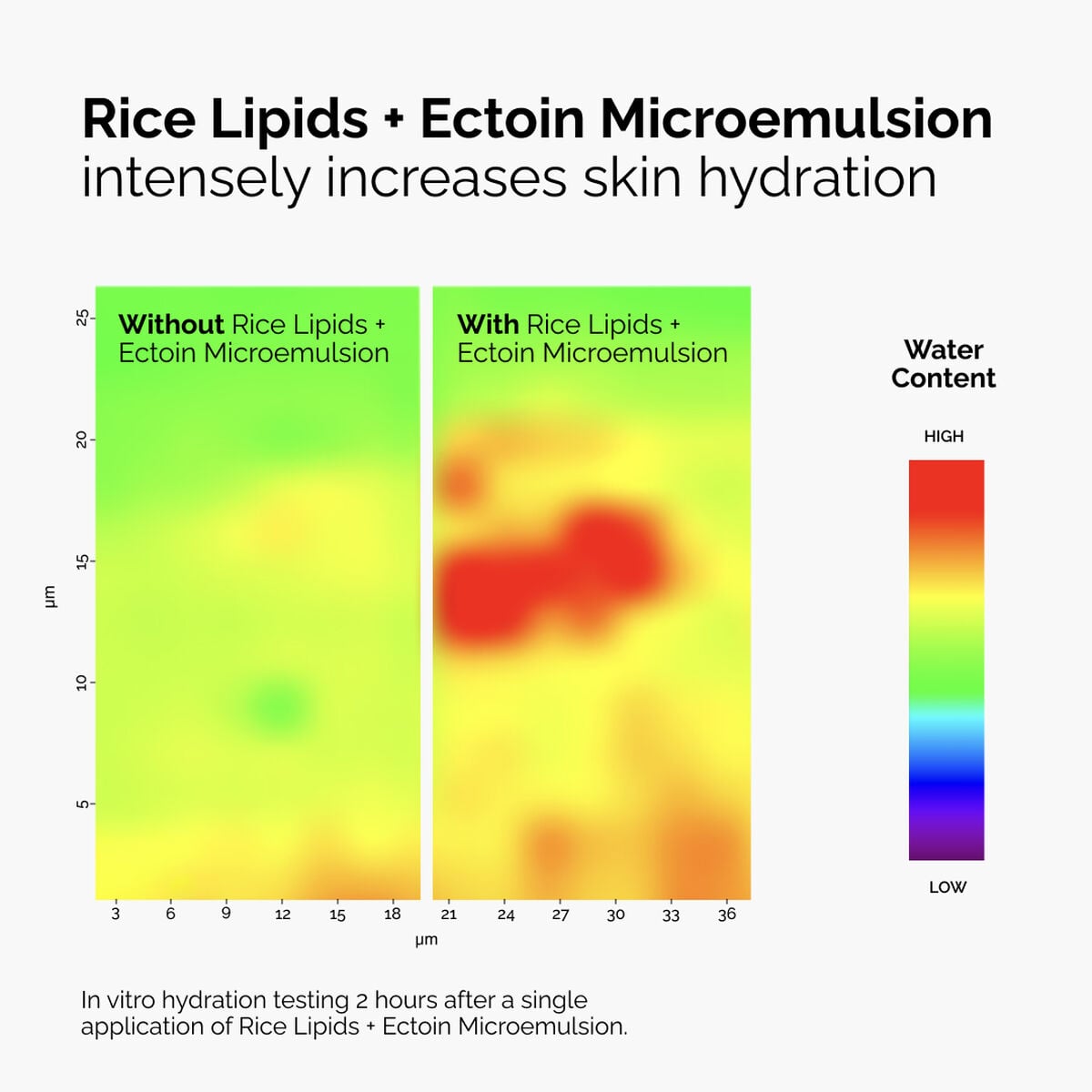 rice-lipids-ectoin-microemulsion-n1 ord-rice-lipids-ectoin-microemulsion-thermal-before-after.jpg